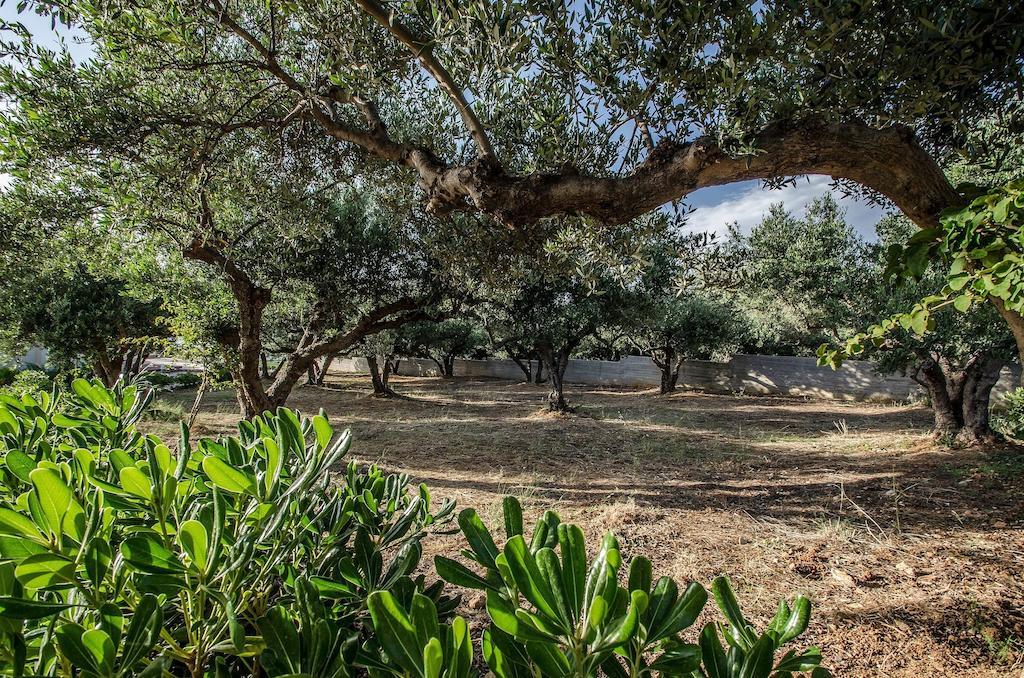 קיסאמוס Anemon Villas מראה חיצוני תמונה